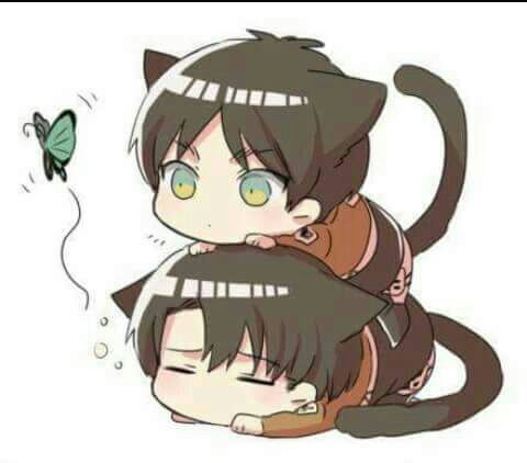 Eren X Levi N N Attack On Titan Amino