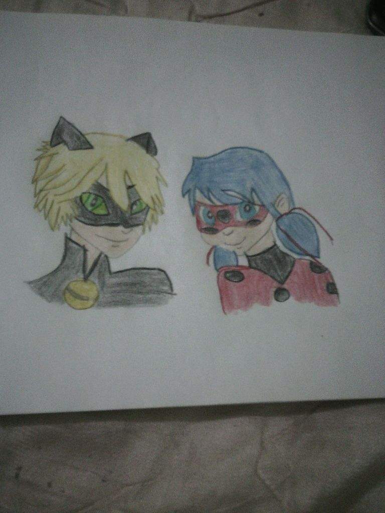 Reto de dibujar a chat noir Miraculous Ladybug Español Amino