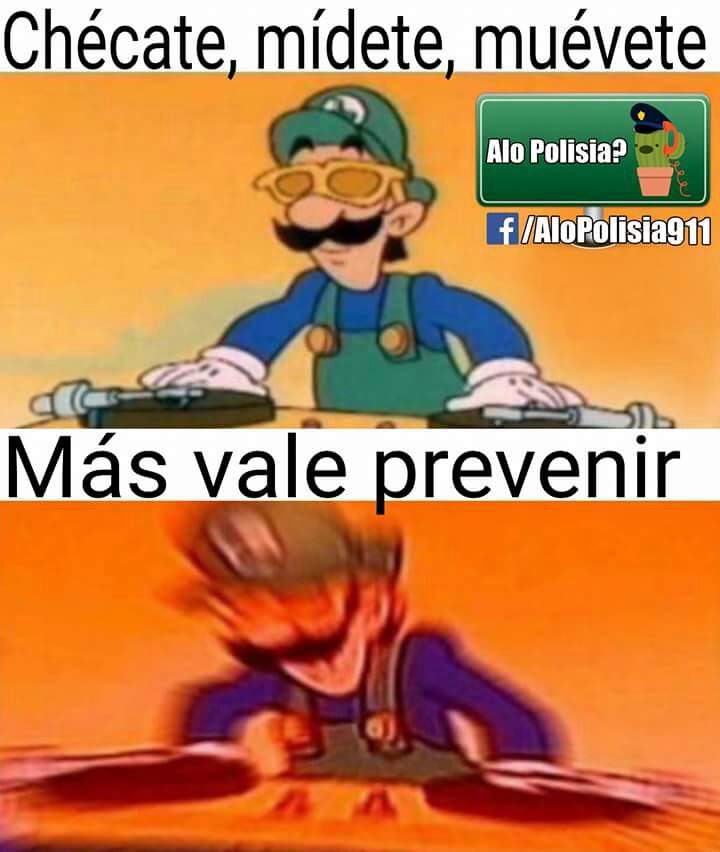 Momos De Momos Xdxdxd Meme Amino