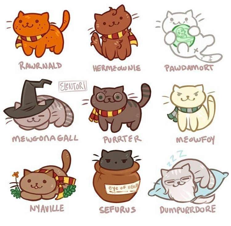 HP CATS Harry Potter Amino