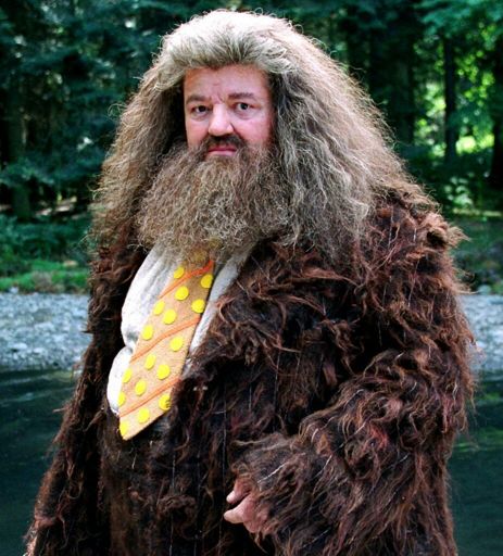 Rubeus Hagrid | Wiki | •Harry Potter• Español Amino