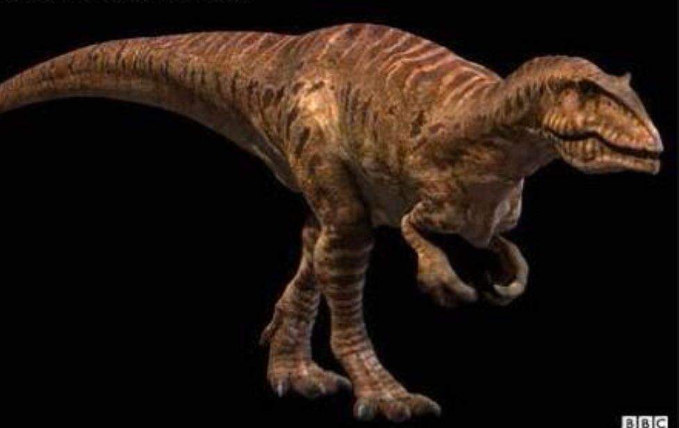 Giganotosaurus Wiki Amino Paleontolog A Amino