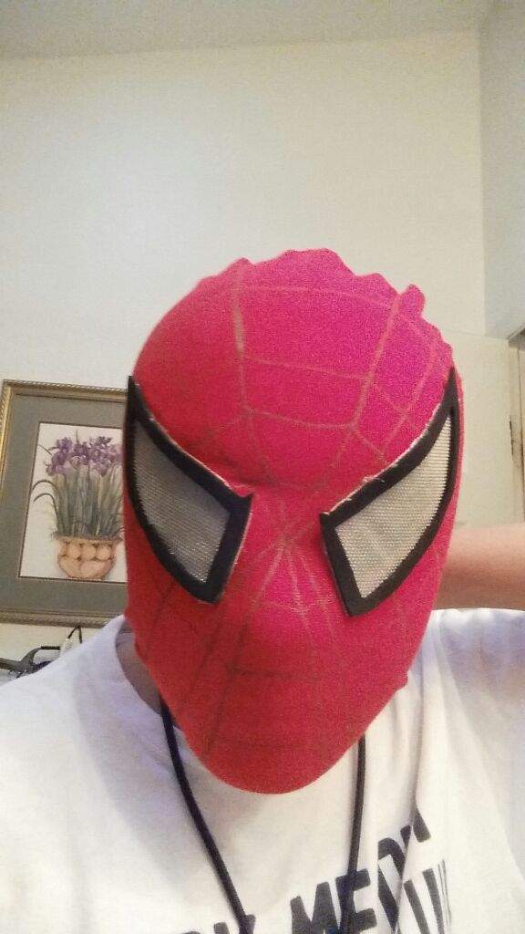 Tobey Maguire Spiderman Mask Cosplay Amino