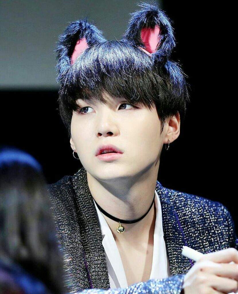 Cat Yoongi | ARMY's Amino