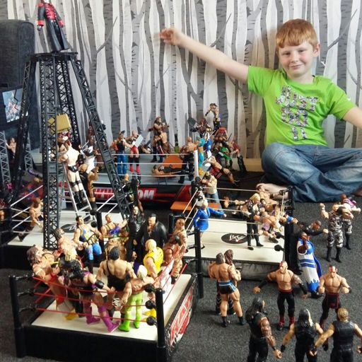 wwe figure set up