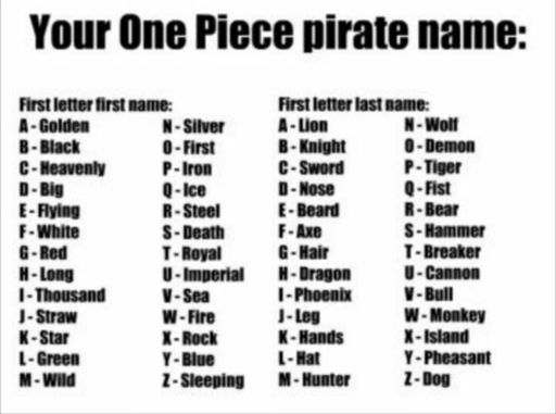 What S Your Name In One Piece One Piece Amino