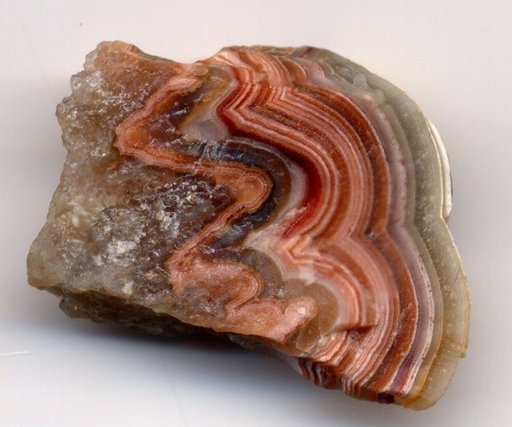 tree agate wiki
