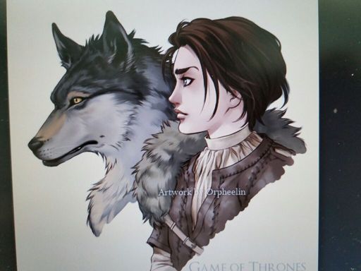 NYMERIA (DIREWOLF) | Thrones Amino