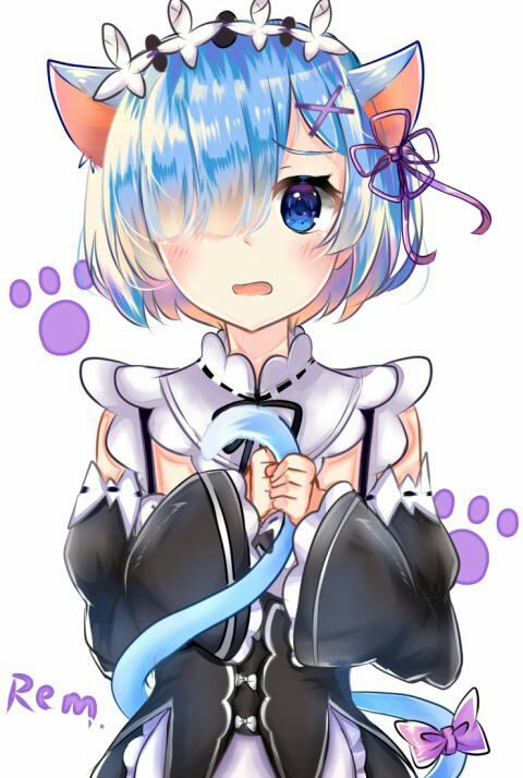 rem and ram neko