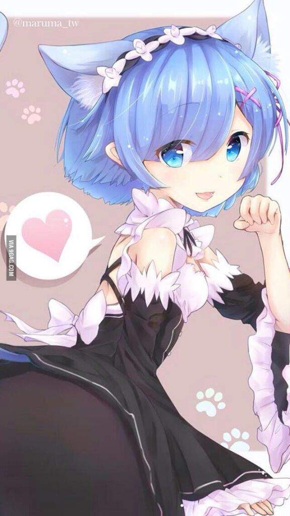 rem and ram neko