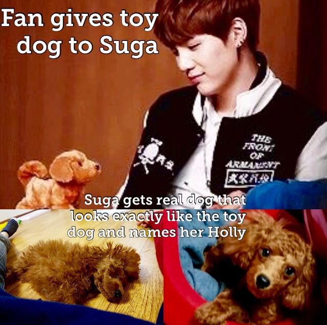 Suga must of loved that toy dog | K-Pop Amino