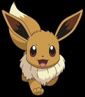 Mi Pokemon Favorito Es Eevee Pok Mon En Espa Ol Amino