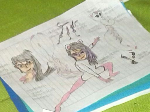 Mi miraculous alfrely Miraculous Ladybug Español Amino