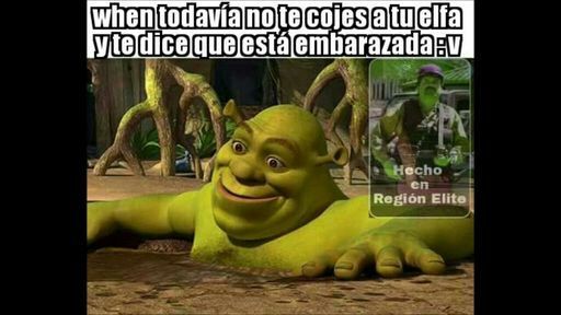 Resultado De Imagen Para Momos Sdlg Funny Memes Memes Shrek Memes