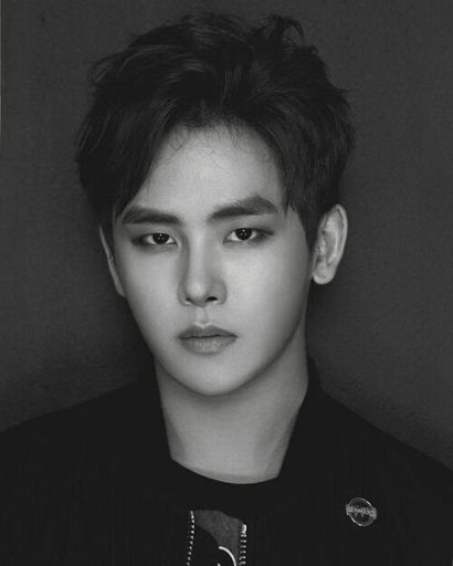 hoya singer