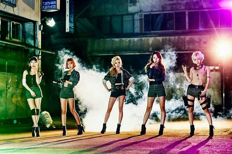 Bulldok | K-Pop Amino