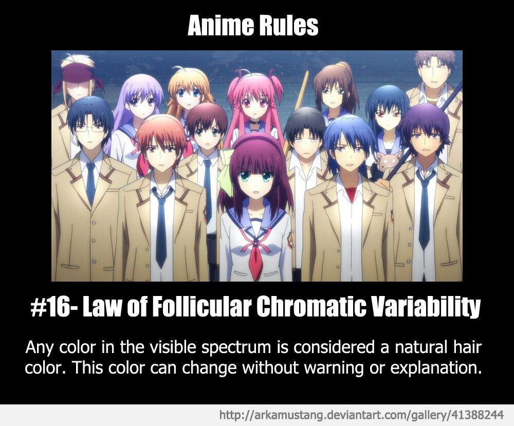 Anime rules | Anime Amino