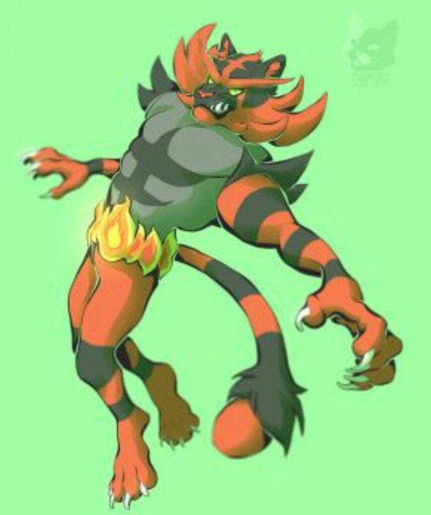 Inceneroar Pokémon Amino