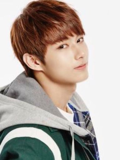 Wen Junhui Wiki Carat 캐럿 Amino