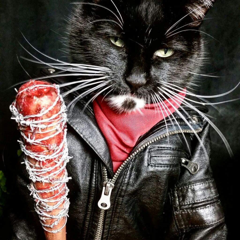 Horror Cat Cosplay | Horror Amino