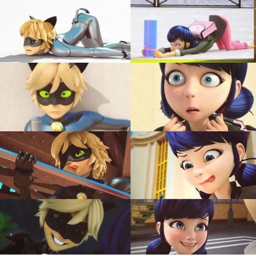 Marichat Wiki Miraculous Ladybug Espa Ol Amino