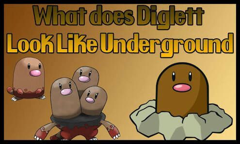 dugtrio underground