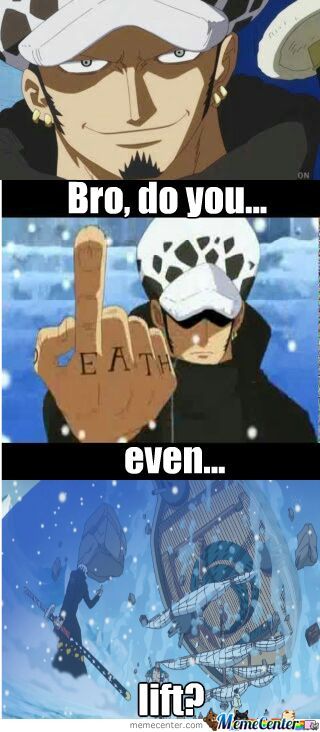 Trafalgar Law Memes One Piece Amino