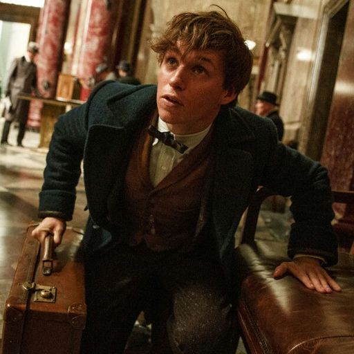 Newt Scamander | Wiki | •Harry Potter• Español Amino