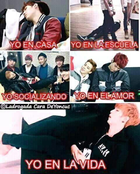 Memes De Suga Bts Latino Amino