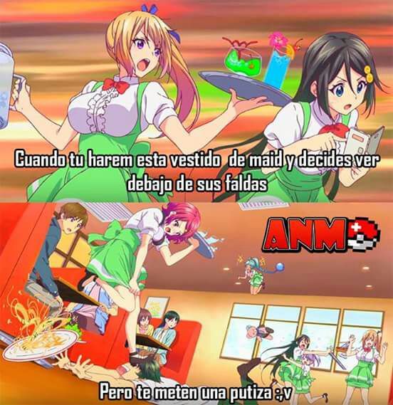 Xd •anime• Amino 