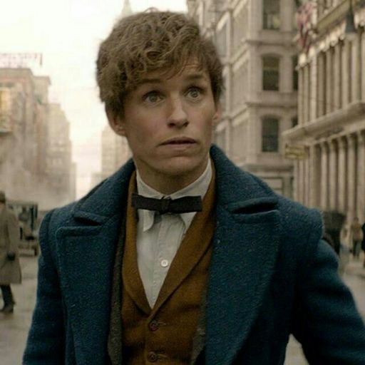 Newt Scamander | Wiki | ⚡.HARRY POTTER.⚡ Amino