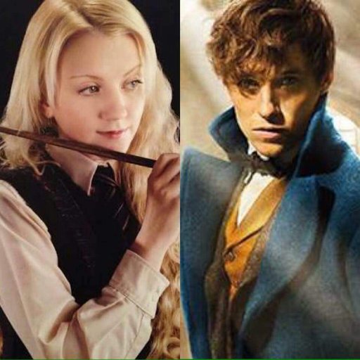 List 93+ Wallpaper Which Friend Of Harry Potter Marries Newt's Grandson