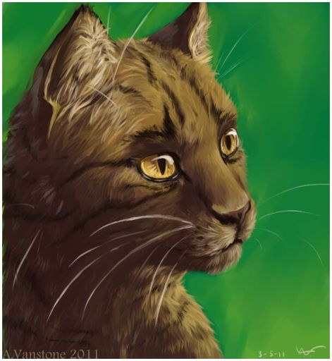 Brambleclaw | Wiki | Warriors Amino