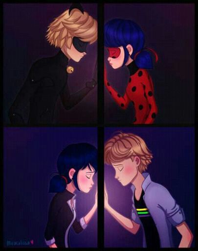 Cual Es Su Pareja Favorita Miraculous Ladybug Espa Ol Amino