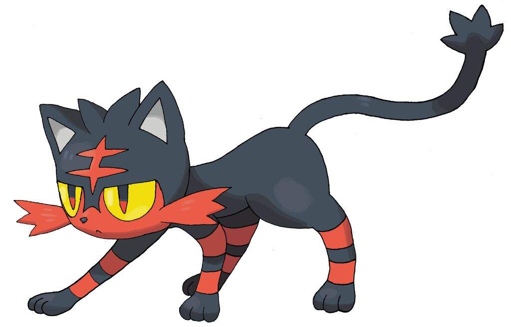 litten teddy