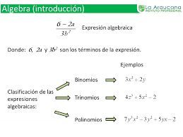 Clasificación De Expresiones Algebraicas💫 | Matemáticas Amino Amino