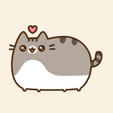 Pusheen 😸💕 