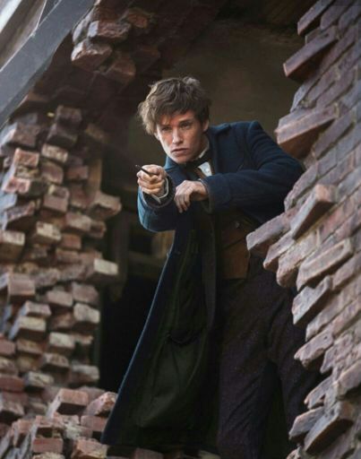 newt-scamander-wiki-geek-spot-amino