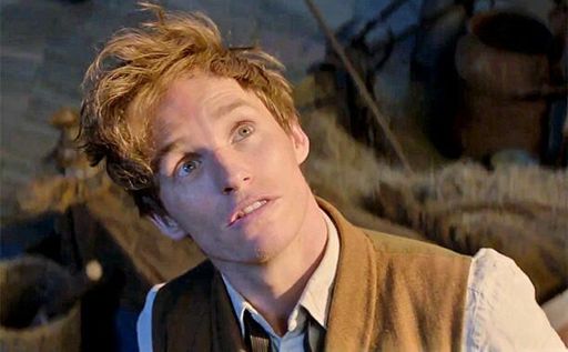 porpentina scamander fantastic beasts and where to find them newt