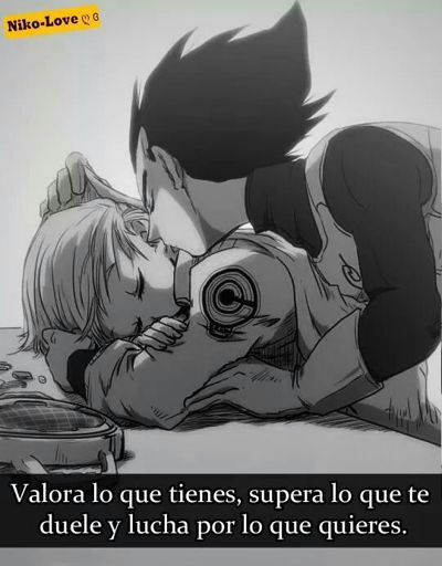 Vegeta Y Bulma Wiki Dragon Ball Espa Ol Amino