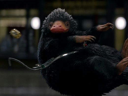 niffler teddy tesco