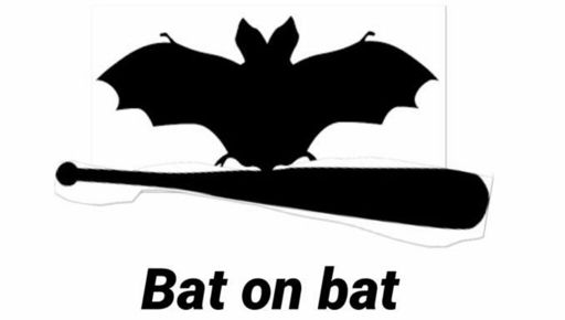 Bat On Bat 