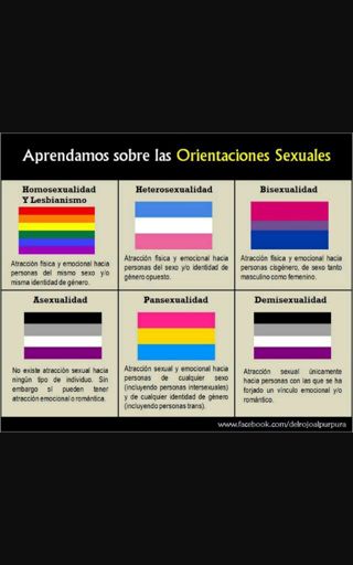 Banderas De Las Orientaciones Sexuales Lgbt ♡ Amino 