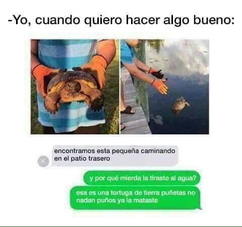 Cuando Quiero Hacer Algo Bueno Meme Amino