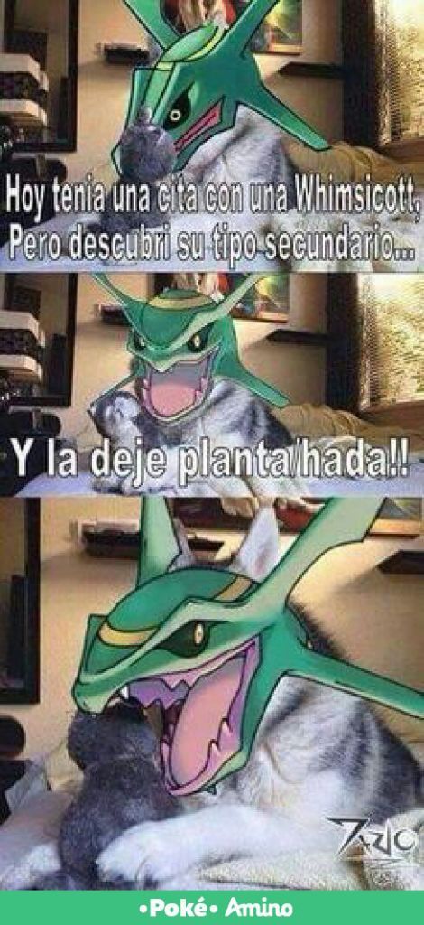 Memes de pokemon :3 parte 3 | •Pokémon• En Español Amino