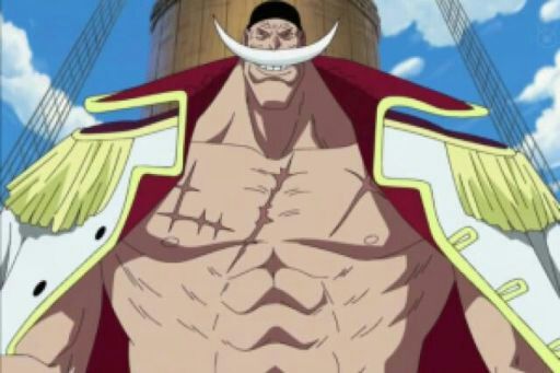 RESEÑA+TEORIA: EDWARD WEEVIL | •One Piece• Amino