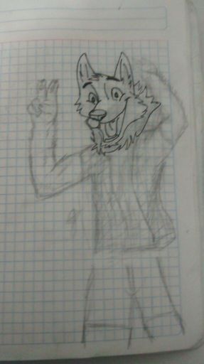 Mi Primer Dibujo 2 Furry Español Amino