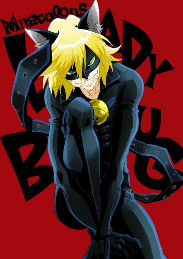 chat noir rule 34 chat noir rule 34