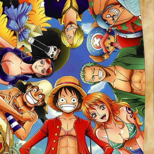 Los Mugiwara Wiki •one Piece• Amino 7018