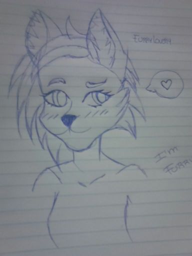 Dibujos Furry Furry Español Amino 